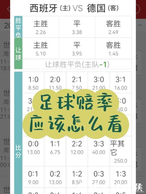 世界杯下注APP新手常见问题解答大全